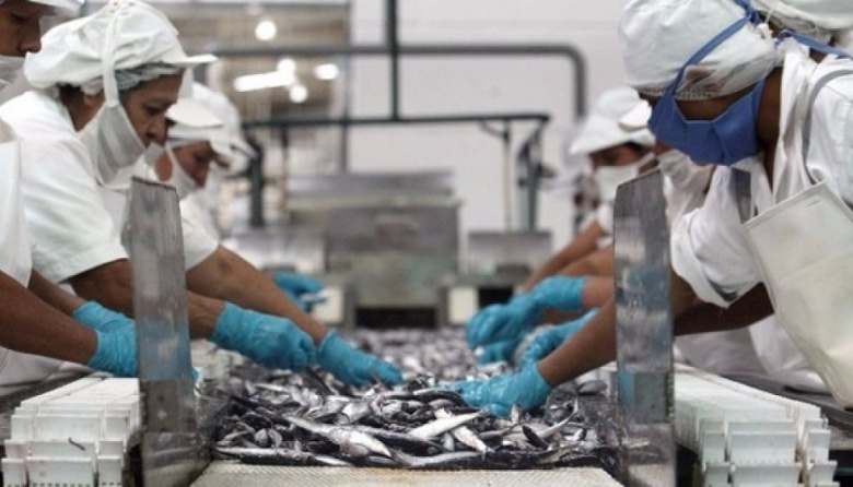 Perú lidera el crecimiento de la harina y aceite de pescado con China como principal destino