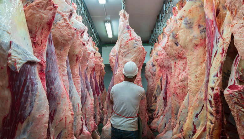 Contracción en la industria frigorífica: La faena vacuna cayó un 9,2% y los precios de la hacienda tocaron máximos históricos
