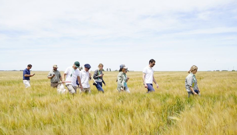 Agrotour 2025: proyectan altos rindes con bajos niveles proteicos en trigo y cebada