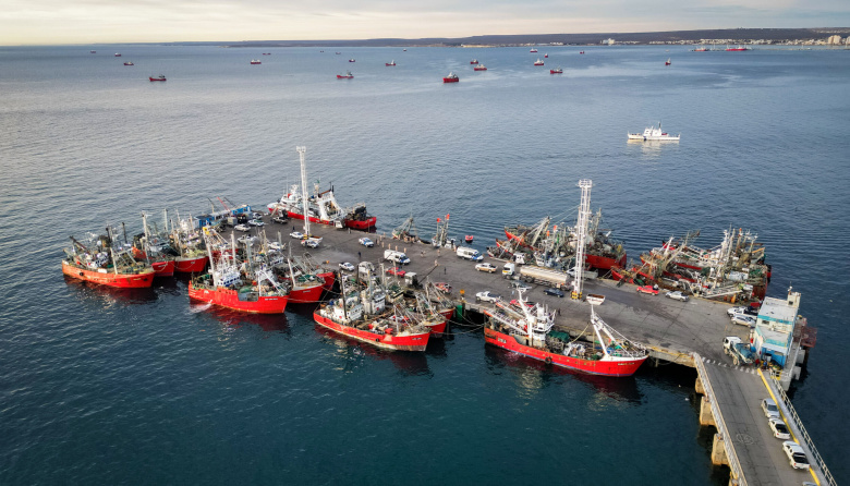 El mapa de la pesca en 2025: especies dominantes y puertos estratégicos