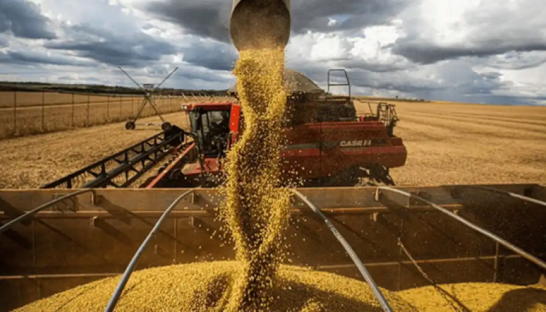 El agro liquidó más de USD 1.000 millones en diciembre y alcanzó su mayor ingreso de dólares en dos años