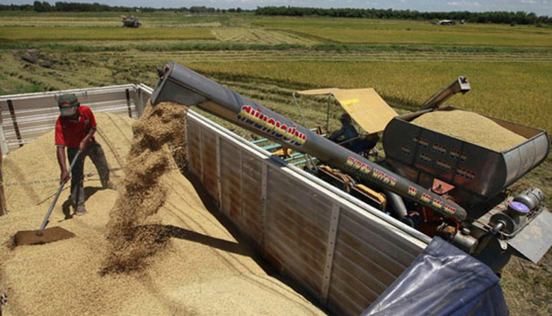 Aceite de soja: China cambia de rol y emerge como competidor directo de Argentina y Brasil en Asia