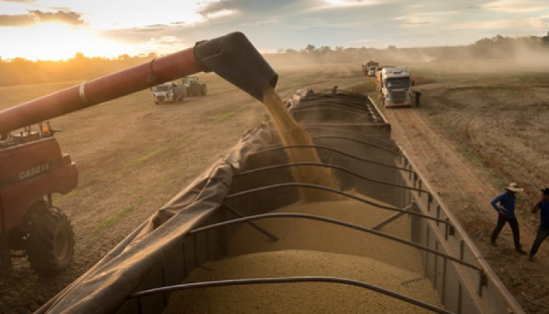 Las exportaciones agroindustriales cerraron 2025 con un crecimiento del 9,3% y superaron los USD 50.500 millones