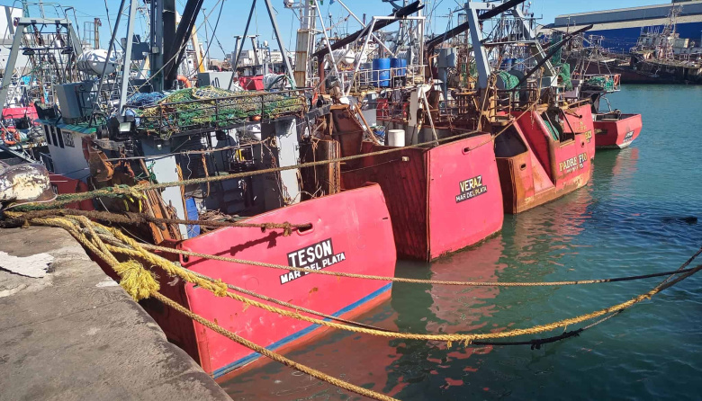 La flota fresquera de Mar del Plata inicia el año con actividad parcial y demoras por mal tiempo