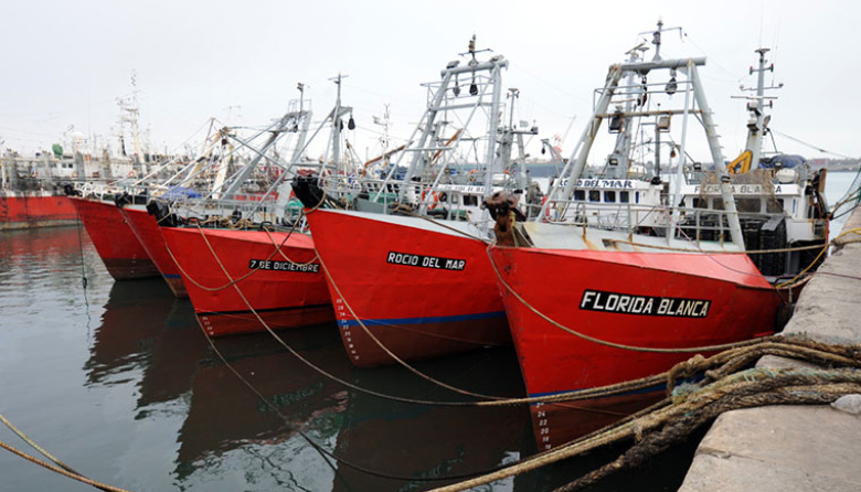 Inicio de la temporada fresquera 2026: desembarco de merluza y calamar en Mar del Plata