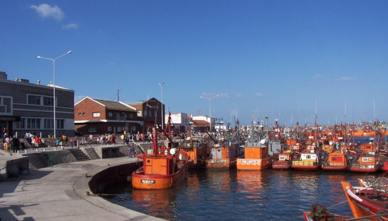 Regresó el atún barrilete a la banquina histórica de Mar del Plata tras más de tres décadas