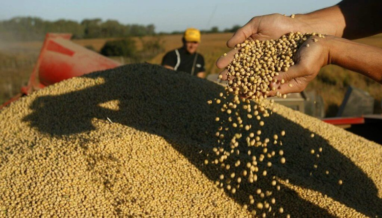 Inminente cierre de las exportaciones de Biodiesel de Soja a la UE