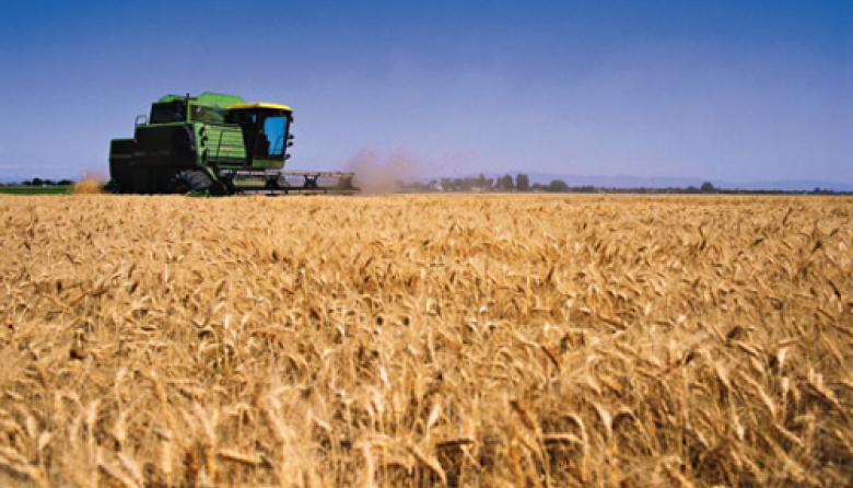 La actividad económica frenó la caída en diciembre, impulsada por el sector agrícola