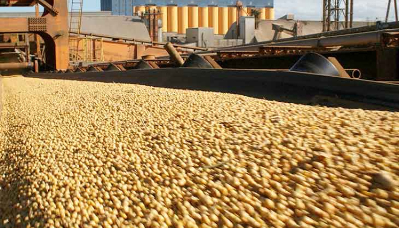 El 75% del mundo disfruta productos agroindustriales argentinos