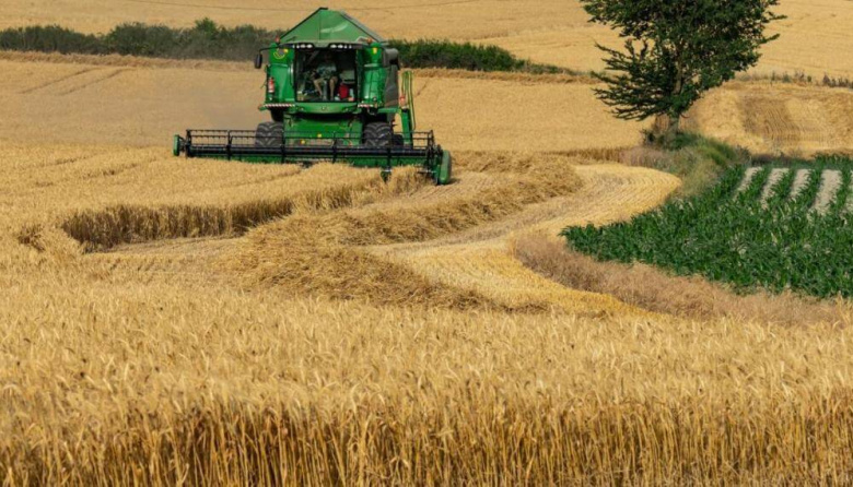 El trigo se encamina a una de las mejores campañas de los últimos años