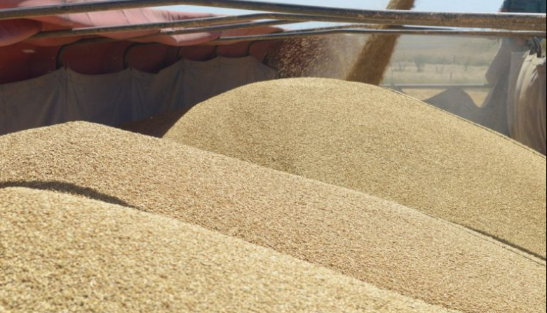 Bolsas de Cereales y Comercio respaldan el acuerdo Mercosur-UE y la modernización laboral