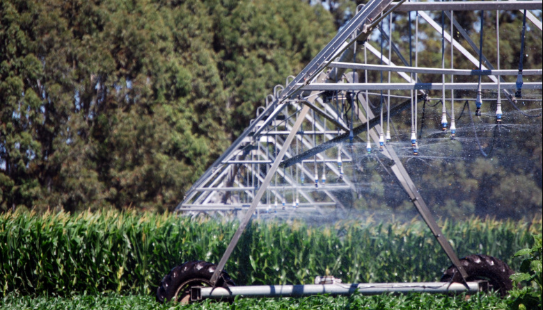 El RIMI abre un nuevo escenario para las inversiones agroindustriales
