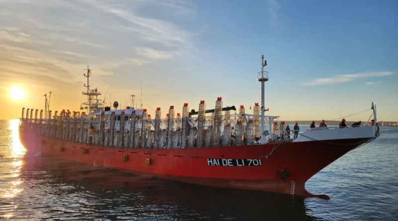 Las descargas de calamar crecieron 99% en el arranque de la zafra