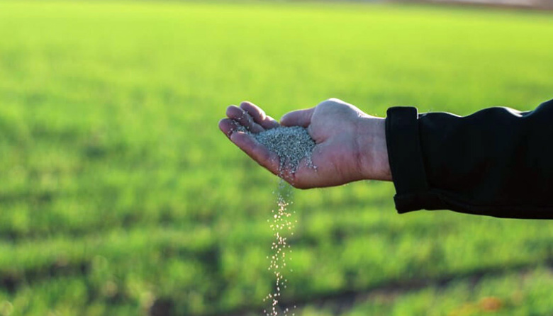 Más del 60% de la urea que importa la Argentina proviene de Medio Oriente