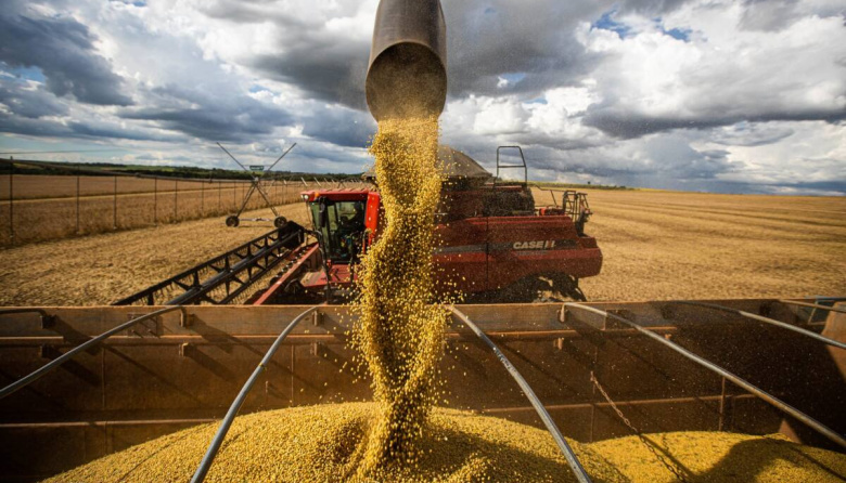 La soja volvió a liderar las exportaciones argentinas en 2025 y concentró casi el 25% de las ventas externas