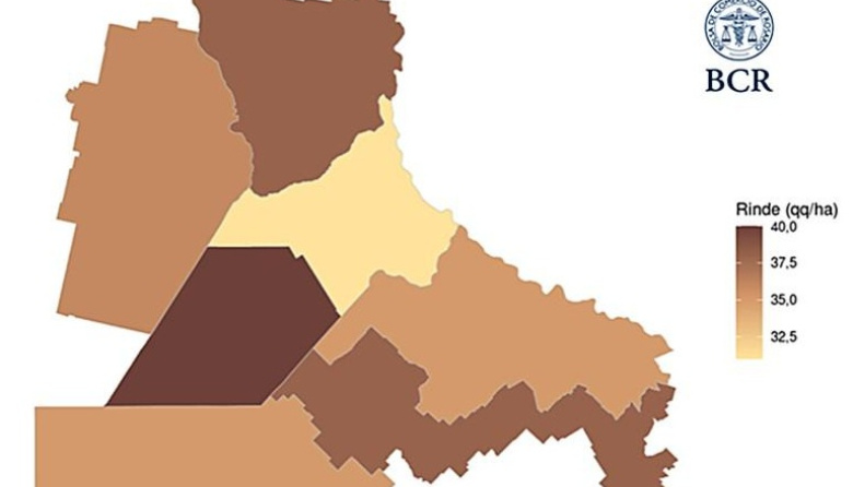 La sequía recortó más de 1 millón de toneladas de soja en la región núcleo
