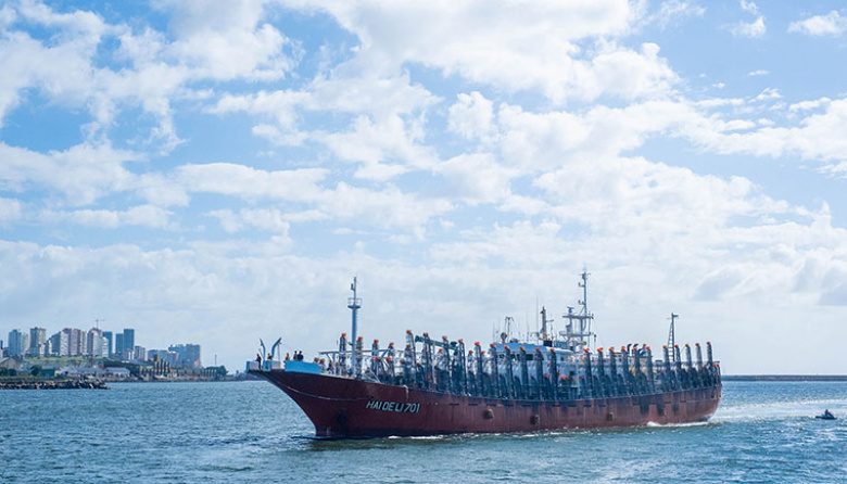 Ante la caída de rendimientos en el sur, inicia la prospección de calamar al norte del paralelo 44°S