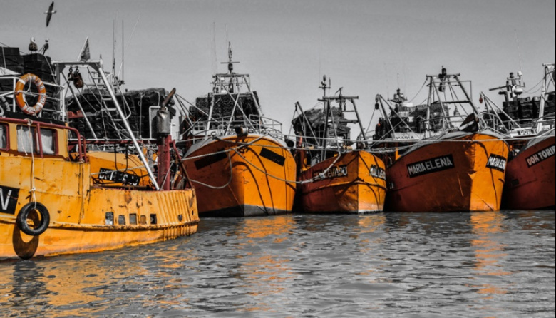 CAPIP advierte por el impacto de los costos y pone en duda la rentabilidad de la temporada de langostino