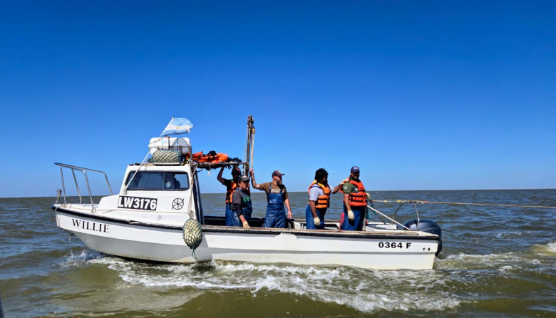 El INIDEP realizó una evaluación de juveniles de corvina rubia en la Bahía Samborombón