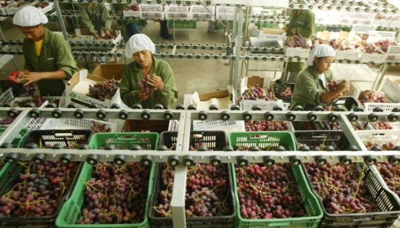 Perú exportó casi US$ 1.000 millones en frutas y hortalizas en enero