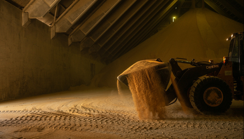 El aceite gana protagonismo en la soja y redefine el negocio industrial