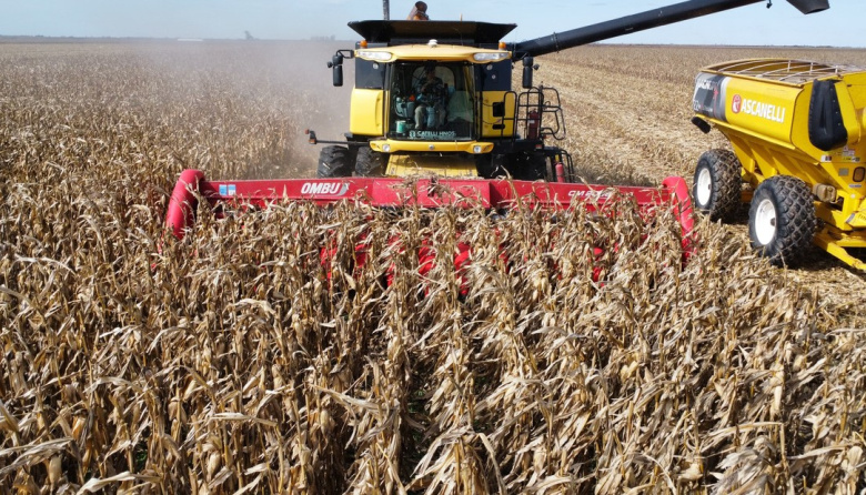 El ingreso de divisas del agro superó los US$ 2.000 millones en marzo