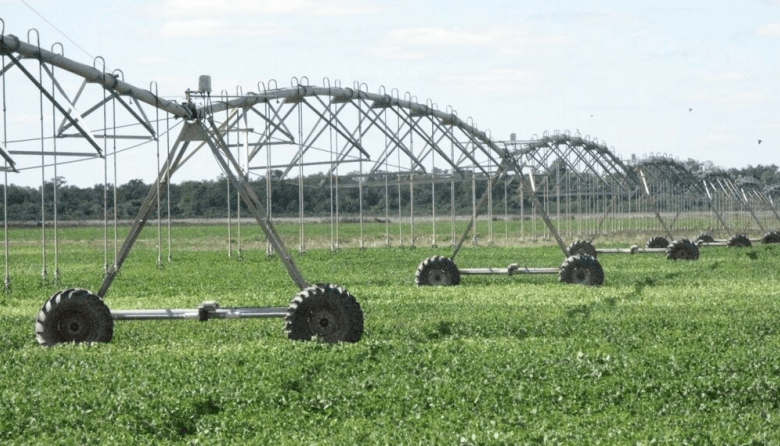 El RIMI contempla beneficios especiales para el agro: amortización en un año para riego, mallas antigranizo y genética animal sin monto mínimo de inversión