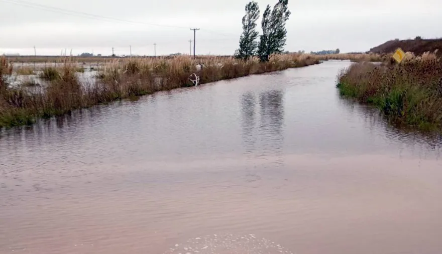 Lluvias de hasta 200 mm en 24 horas agravan la situación hídrica en varias provincias y generan alarmas en el sector agropecuario
