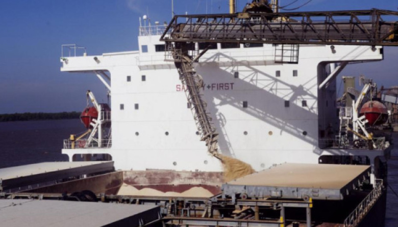 SENASA reunió a los principales actores del comercio exterior granario para mejorar la integración operativa en puertos