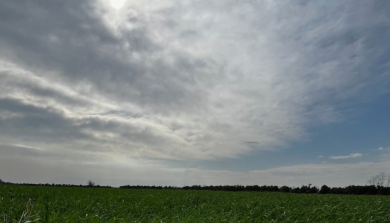 Lluvias contrastantes y descenso térmico marcarán la semana en el área agrícola argentina