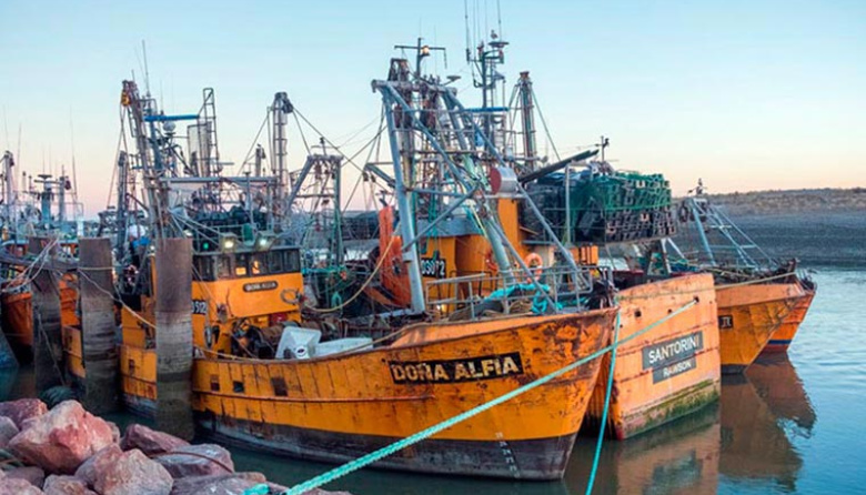 El CFP rechazó el planteo de Red Chamber y sus buques siguen sin cuota de merluza asignada