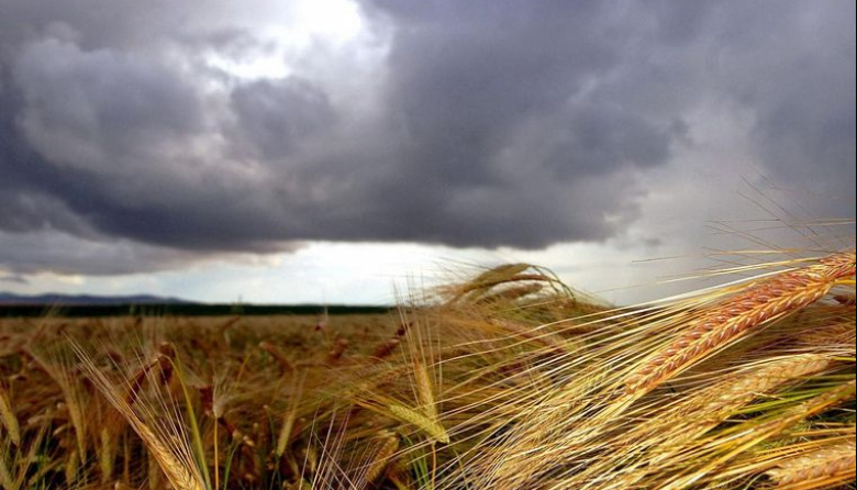 Un posible “Súper Niño” redefine el tablero agrícola: alta probabilidad y efectos decisivos para la próxima campaña
