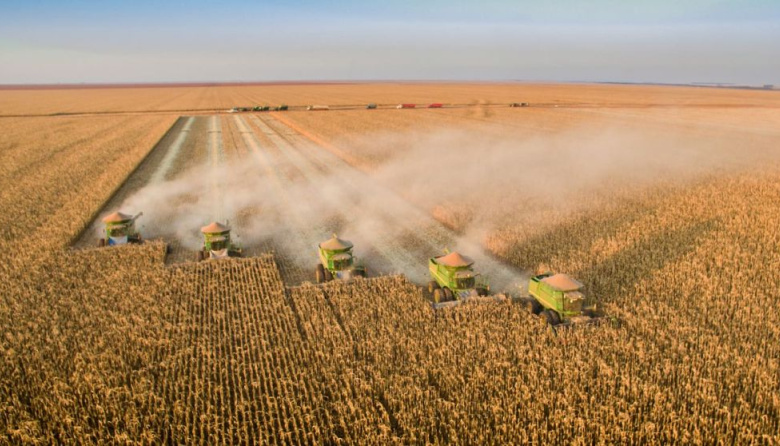 Brasil proyecta cosecha récord de soja de 179,2 Mt mientras Argentina enfrenta retrasos por lluvias y estima 48 Mt