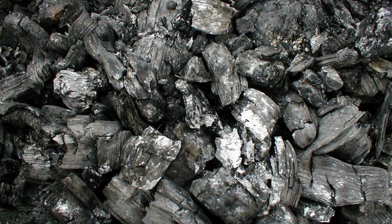 El carbón vegetal en el escenario global: del fogón al mercado de la descarbonización