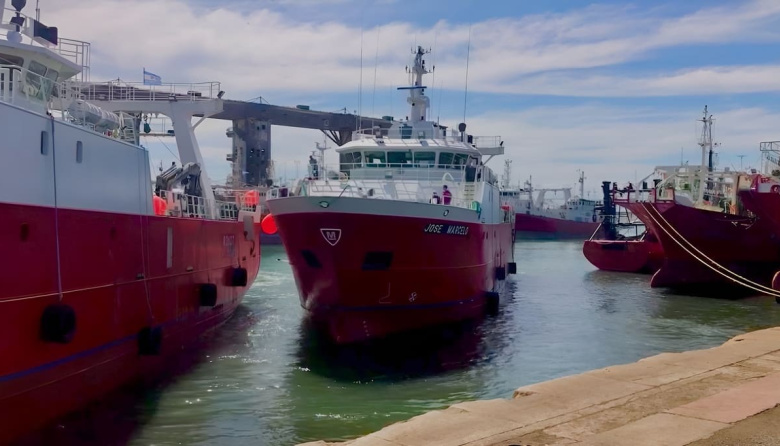 Mar del Plata lidera los desembarques pesqueros de abril con 29.213 toneladas
