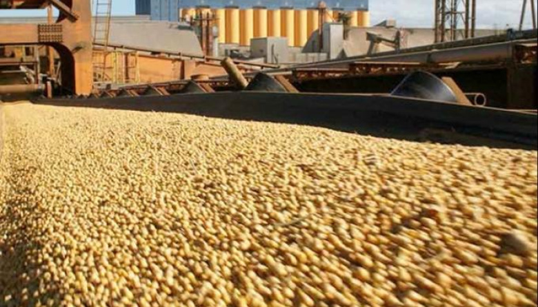 El Panel Agroindustrial Regional registró suba de precios, caída en salarios reales y retroceso en exportaciones durante el primer trimestre de 2026