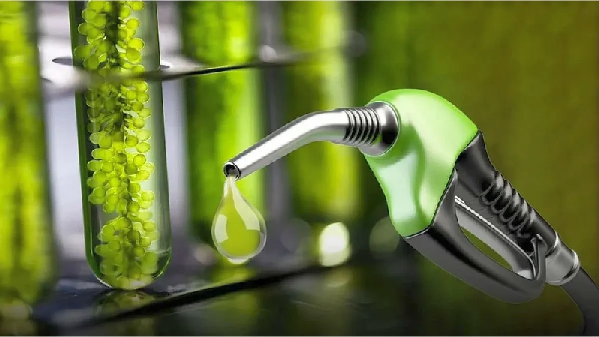 La Secretaría de Energía actualizó los precios de bioetanol y biodiésel para mayo