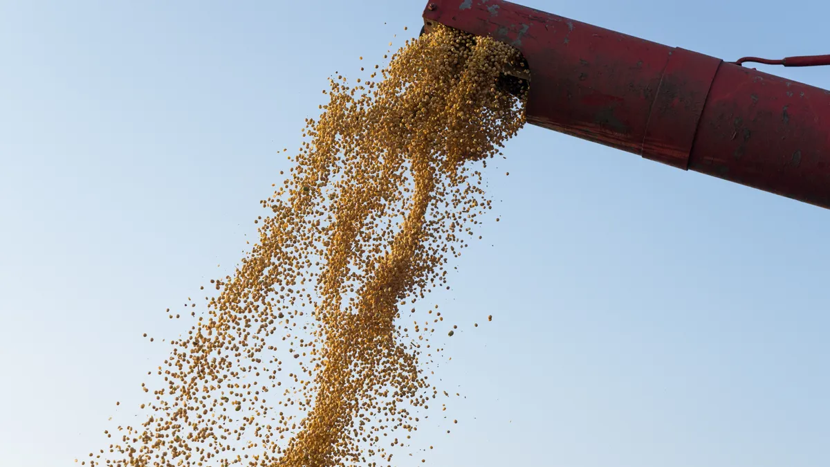 La soja se cosecha tarde, se vende poco y los productores apuestan a guardar grano