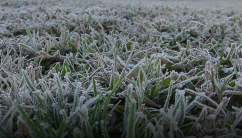 Heladas generales en el oeste agrícola y lluvias escasas en la mayor parte del territorio: el panorama climático para las próximas dos semanas