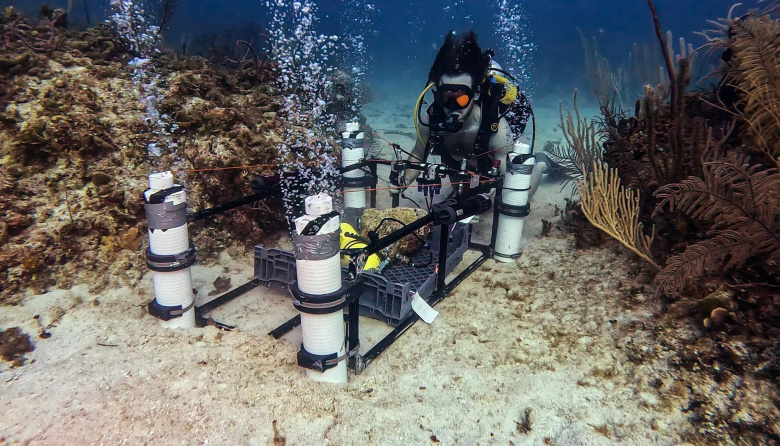 Jan De Nul comenzó a construir una granja de restauración de arrecifes de coral en Maldivas con capacidad para producir más de 15.000 corales en dos años
