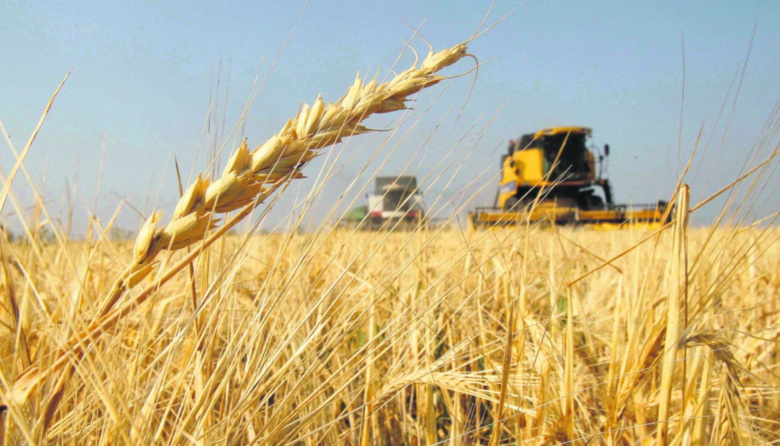 Girasol, soja y trigo lideraron el salto exportador de abril: las DJVE crecieron 24% respecto al mismo mes de 2025