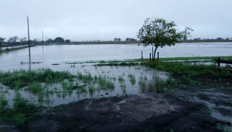 El Niño tiene un 82% de probabilidad de emerger antes de julio