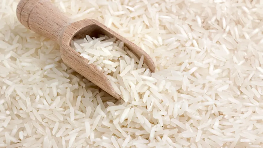 Argentina agotó el cupo de arroz asignado al Mercosur para exportar a la Unión Europea
