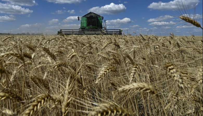 La baja de retenciones al trigo y la cebada mejora el FAS teórico entre USD 4,8 y 4,9 por tonelada