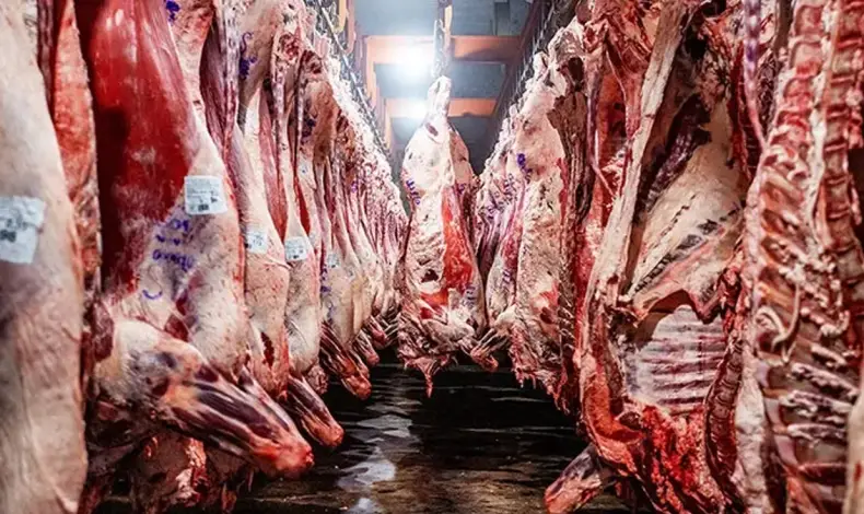 El precio de exportación de la carne vacuna alcanzó un récord de USD 6.968 por tonelada