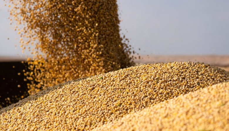 El agro exportó un récord de 50,4 millones de toneladas en los primeros cinco meses del año