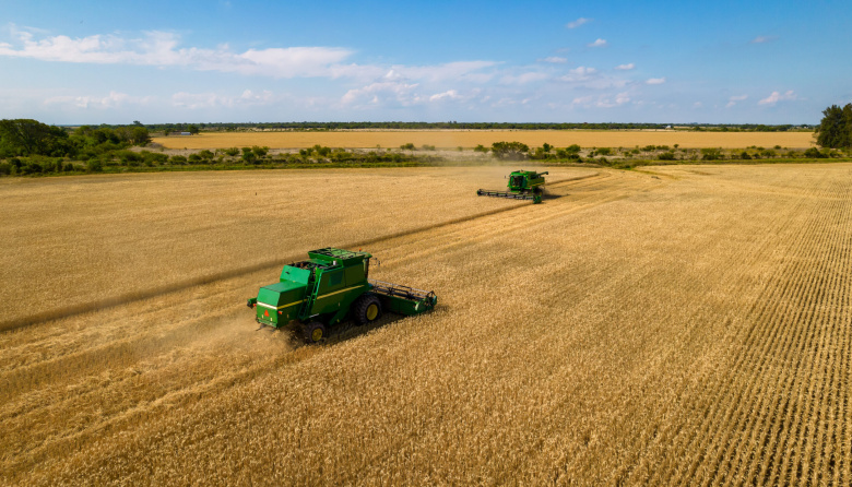 Santa Fe: El motor agroindustrial del país