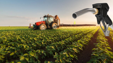Naftas: el Gobierno fijó nuevos precios de los biocombustibles