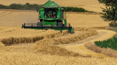 Crecimiento en las exportaciones de la agroindustria: este año, septiembre fue un 26% mejor que el de 2023