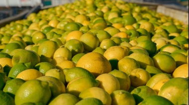 Abren la exportación a Ecuador de cítricos dulces, limón y carne vacuna con hueso